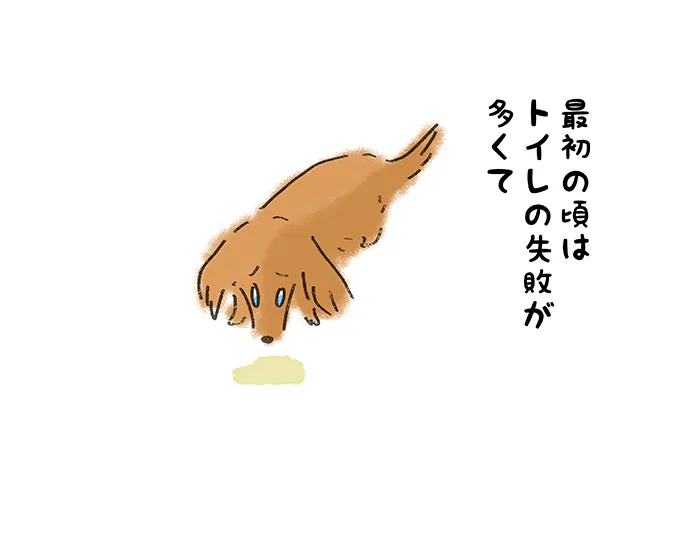 『最初の頃はトイレの失敗が多くて』