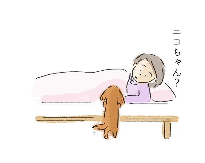 「ニコちゃん?」