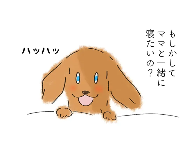 「もしかしてママと一緒に寝たいの?」『ハッハッ』
