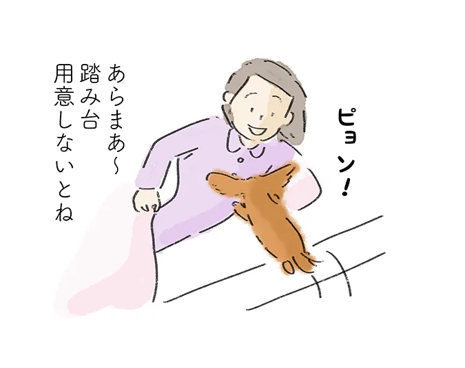 ピョン!「あらまあ〜 踏み台用意しないとね」