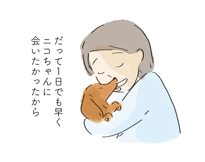 「だって1日も早くニコちゃんに会いたかったから」