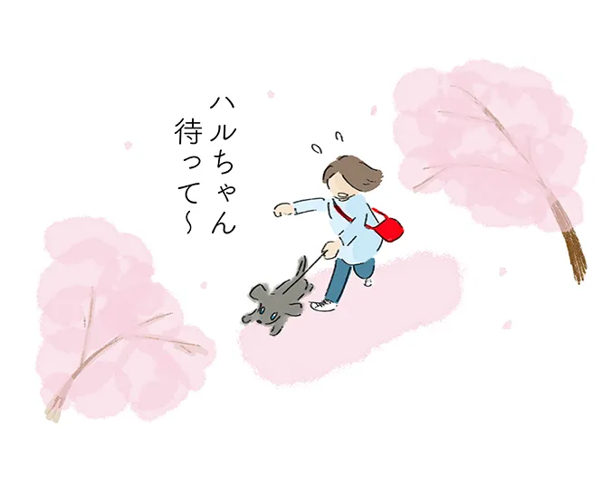 「ハルちゃん待って〜」