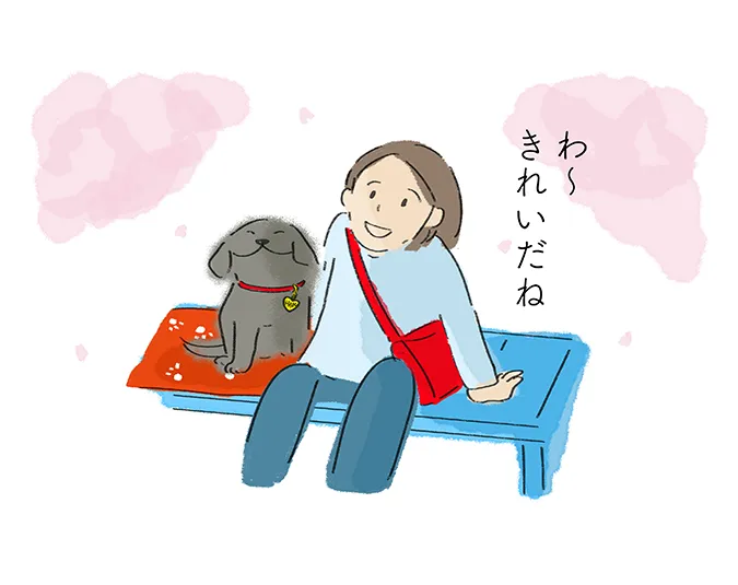 「わ〜 きれいだね」