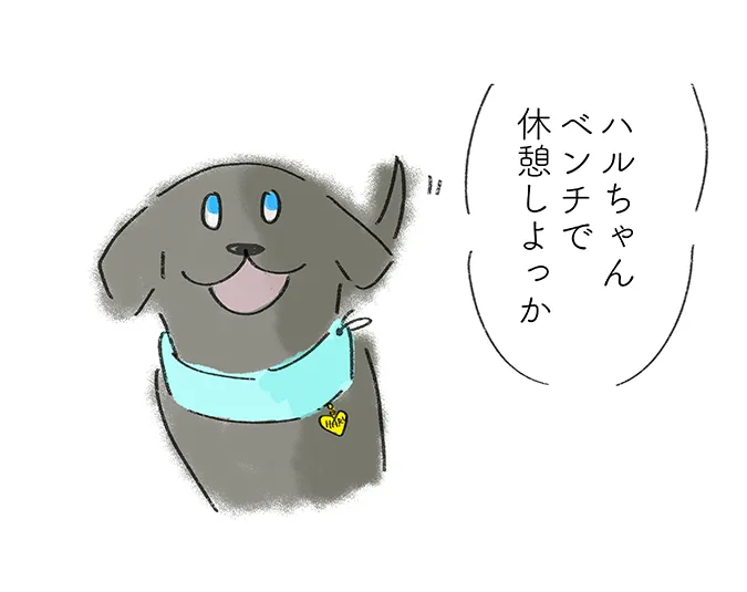 「ハルちゃんベンチで休憩しよっか」