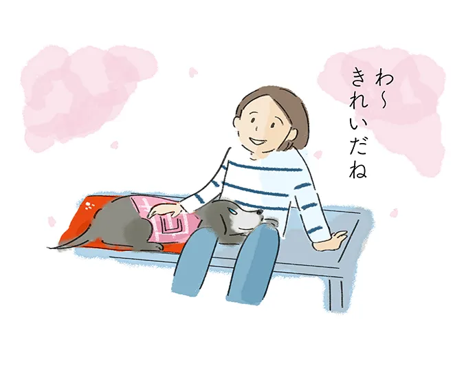 「わ〜 きれいだね」