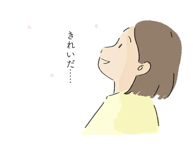 「きれいだ……」