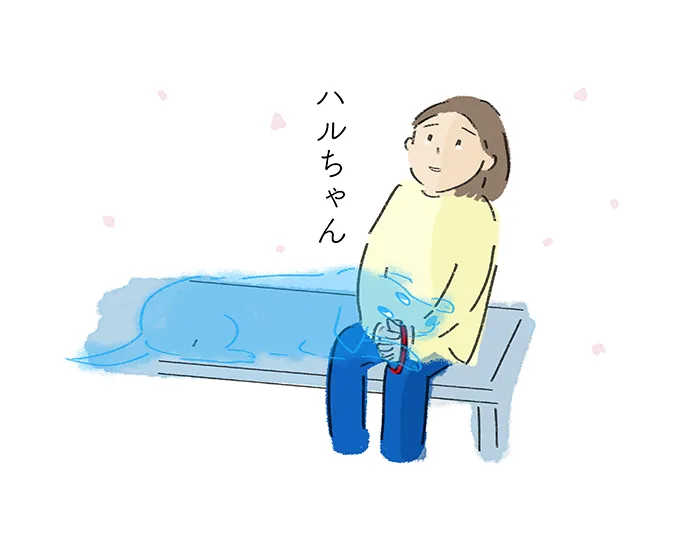 「ハルちゃん」
