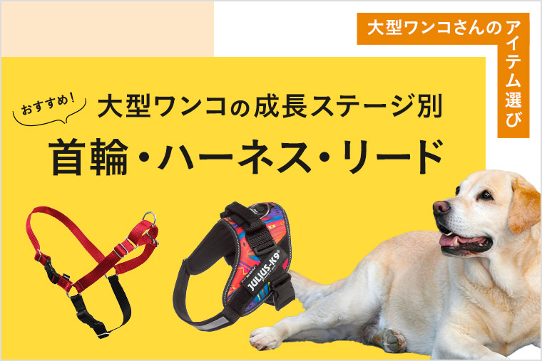 メーカー直送】 大型犬 ハーネスにつけるクールバンド５種類 犬用品