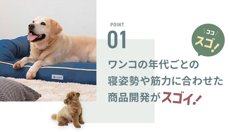 犬用ベッドは年齢に合わせて選ぶ」を提案する眠りのプロが作った犬用