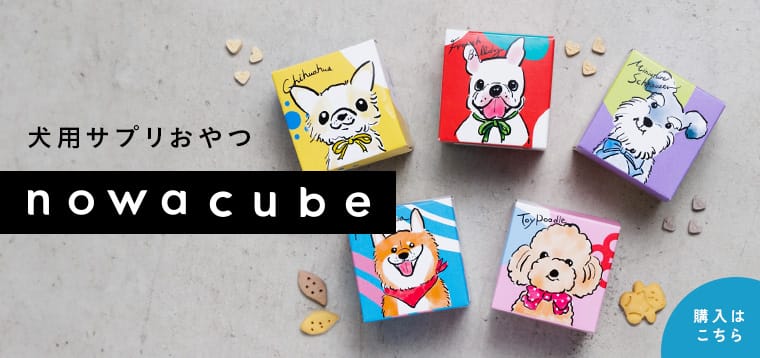 ワンコnowa THE STORE nowa-cube