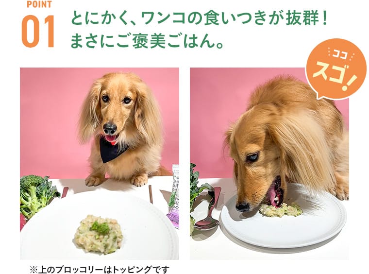 ポイント1 とにかくワンコの食いつきが抜群！まさにご褒美ごはん。