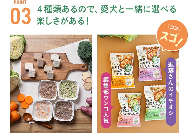 ポイント3 4種類あるので愛犬と一緒に選べる楽しさがある！