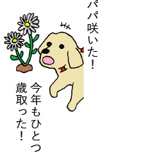 パパ咲いた!今年もひとつ 歳取った!
