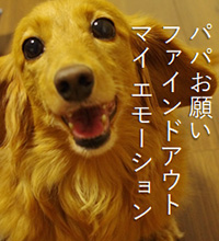 パパお願い ファインドアウト マイ エモーション
