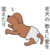 老犬の教えに愛を覚えたり