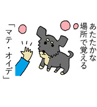 あたたかな 場所で覚える 「マテ・オイデ」