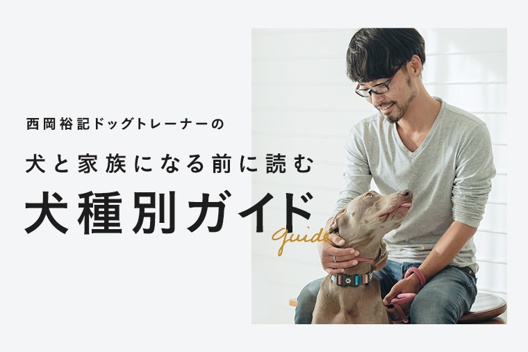 西岡裕記ドッグトレーナーの犬と家族になる前に読む犬種別ガイド