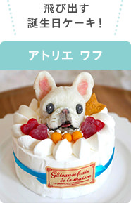 【犬用誕生日グッズ】飾りつけやケーキなど愛犬の誕生日におすすめのバースデーグッズ！