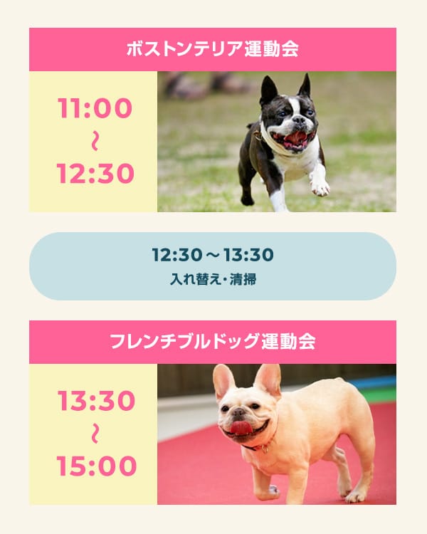 ボストンテリア運動会11:00〜12:30 フレンチブルドッグ運動会13:30〜15:00