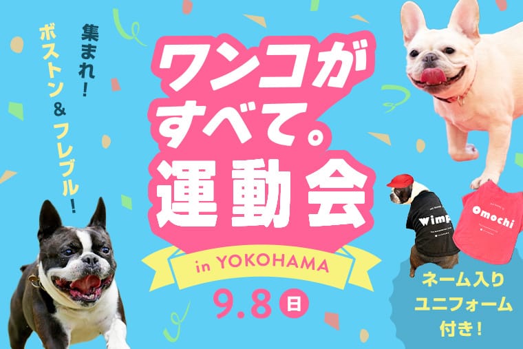 イベント ワンコがすべて運動会inYOKOHAMA