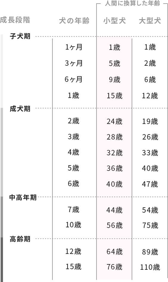 人間の年齢に換算したチワワの年齢表