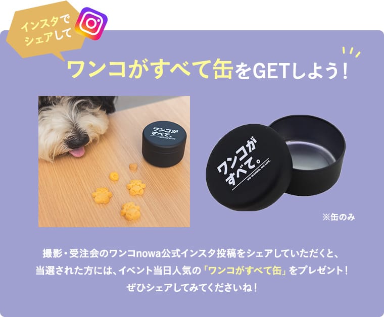 インスタでシェアしてワンコがすべて缶をゲットしよう！撮影・受注会のワンコnowa公式インスタ投稿をシェアしていただくと、当選された方にはイベント当日「ワンコが全て缶」をプレゼント！ぜひシェアしてくださいね！