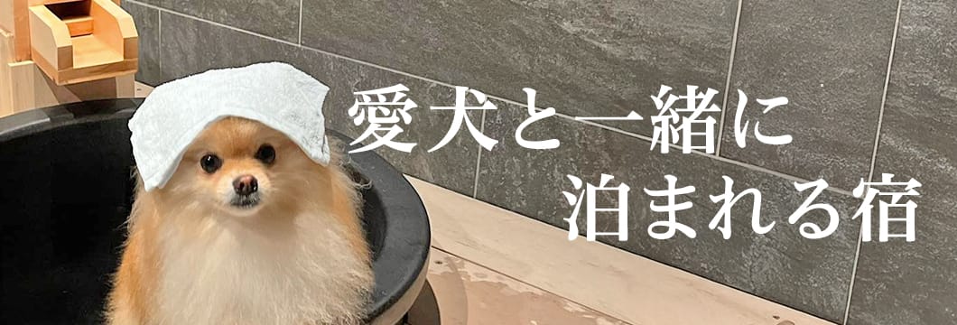 犬と泊まれる宿TOP