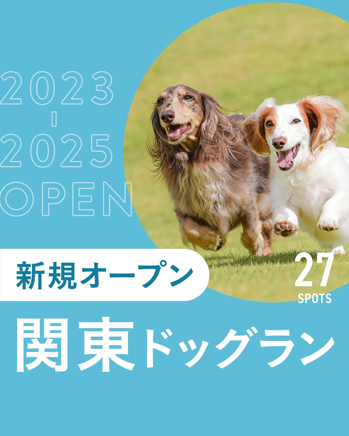 【新規オープンのドッグラン27選】関東で新しく開設されたドッグラン特集｜ドッグカフェやスタジオ併設も