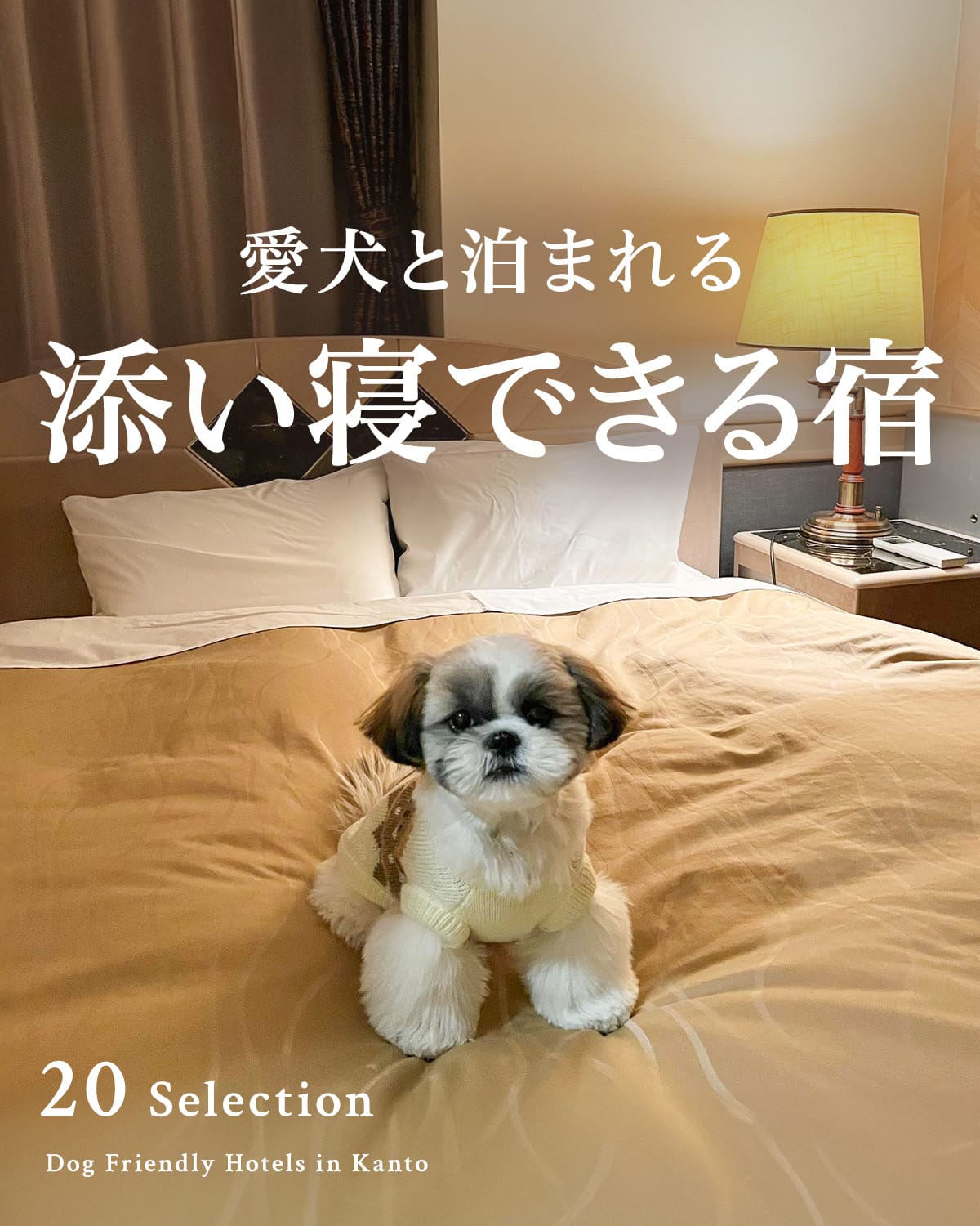 愛犬と添い寝ができる宿｜ペットと泊まれる添い寝OKの宿