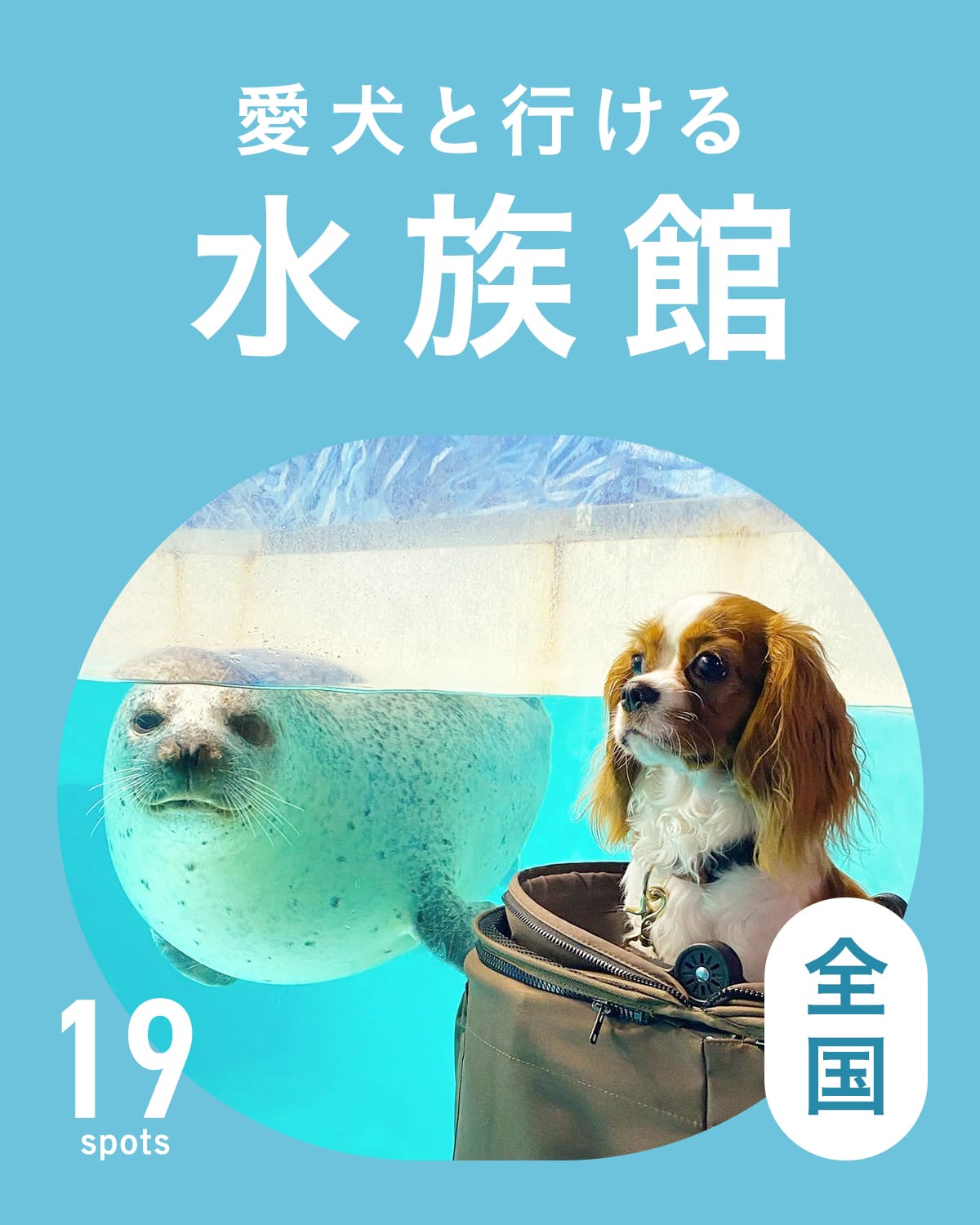【犬連れOKな水族館】全国の犬と行ける水族館19選