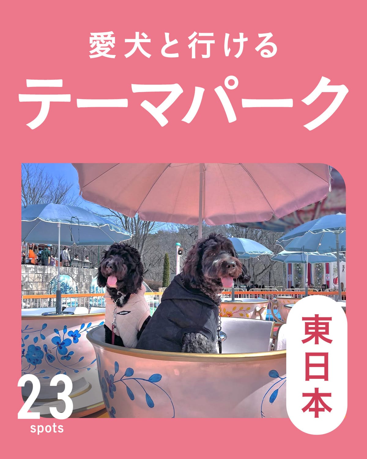 【犬連れOKのテーマパーク・遊園地23選】東日本で犬連れOKなテーマパークと遊園地まとめ