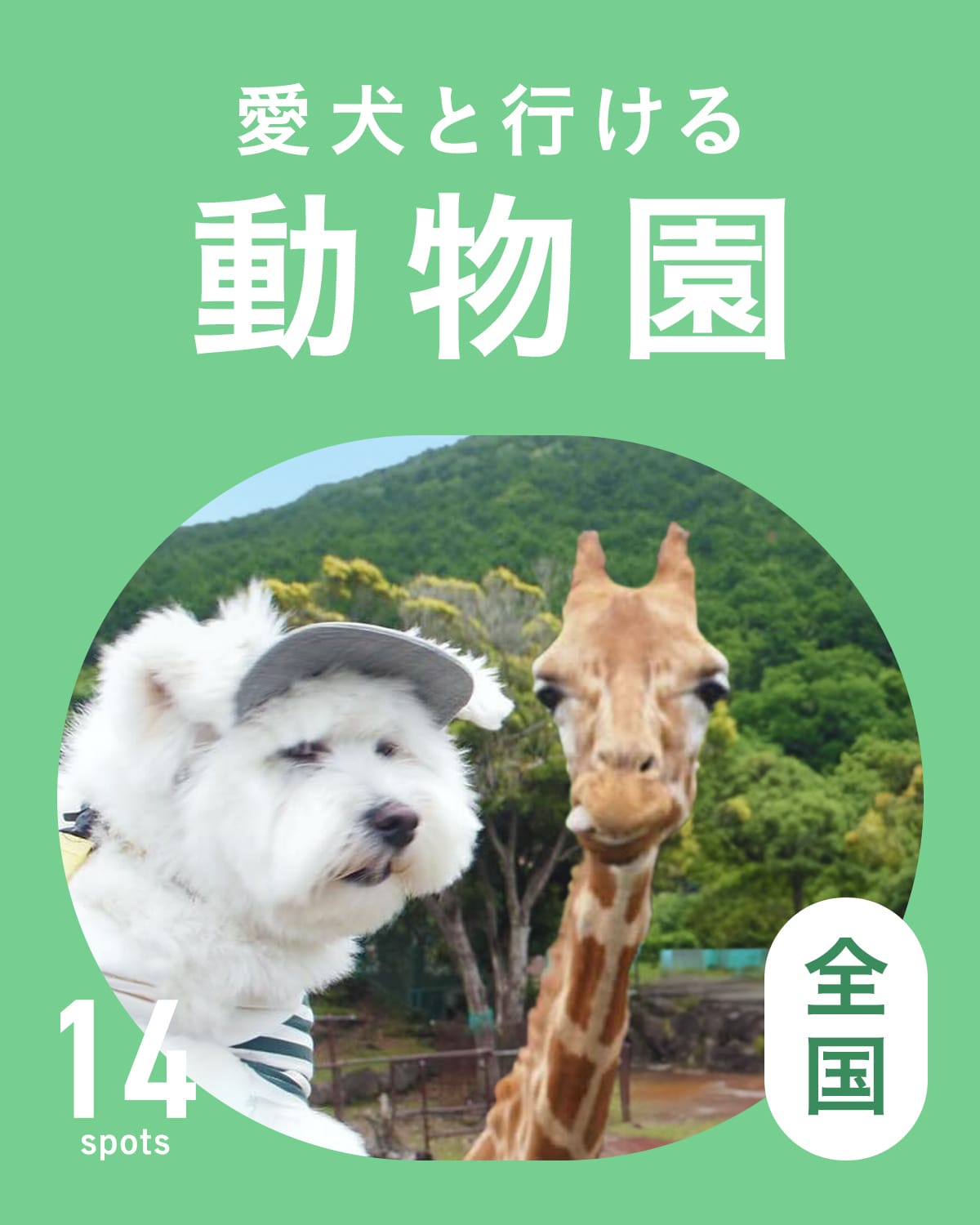 【犬連れOKな動物園】全国の犬と行ける動物園14選