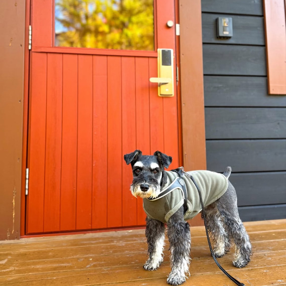 ルークくんの画像