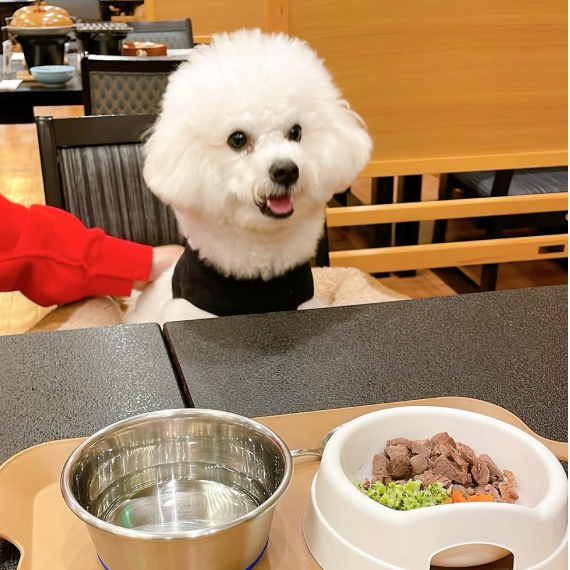 もちまるくんの画像