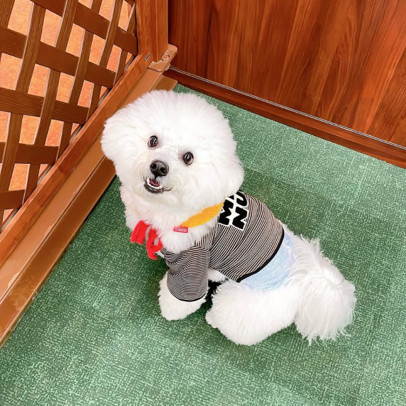 もちまるくんの画像