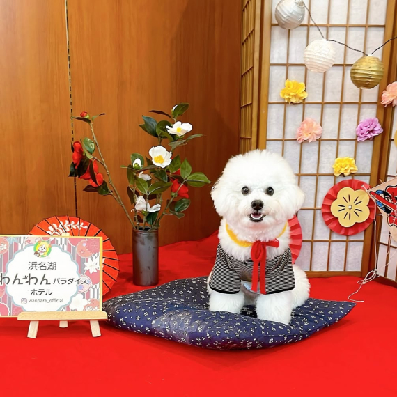 もちまるくんの画像