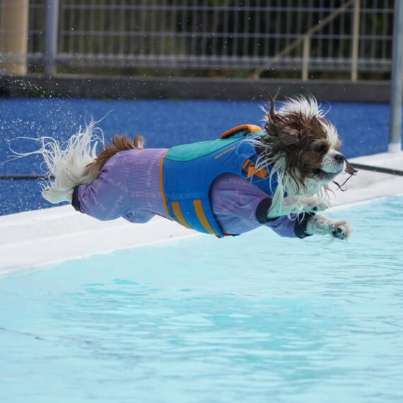 まなちゃん＆れなちゃんの画像