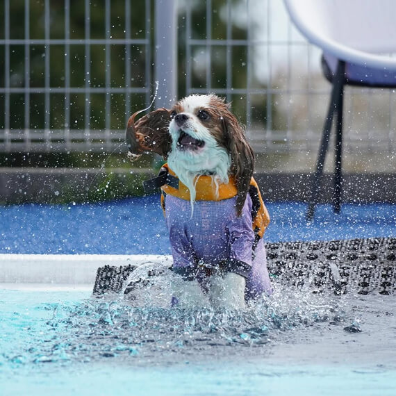 まなちゃん＆れなちゃんの画像