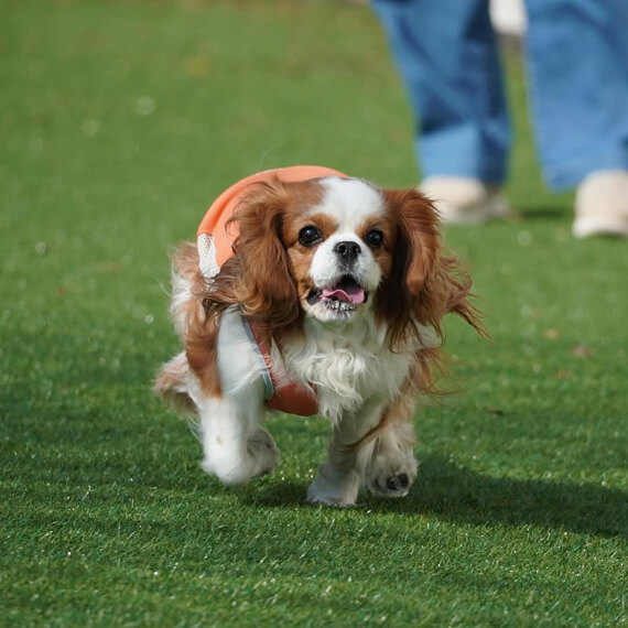 まなちゃん＆れなちゃんの画像