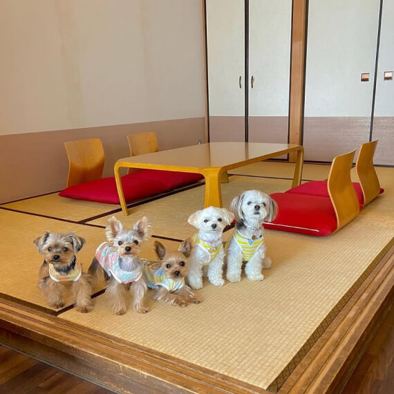 ルーイ＆ハーバー＆ロディー3兄弟の画像