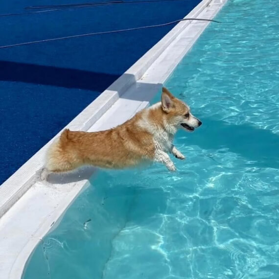 まりんちゃんの画像