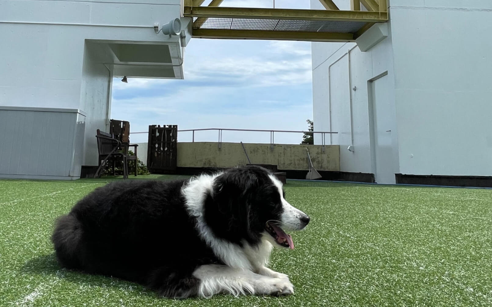 伊豆高原わんわんパラダイスコンドミニアム