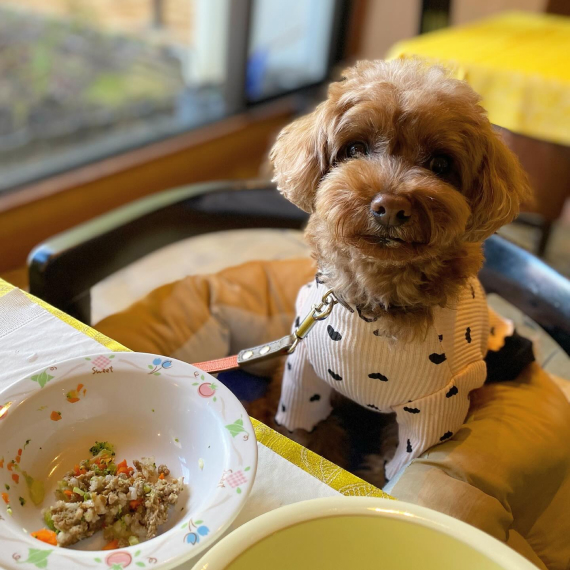 ララちゃんの画像