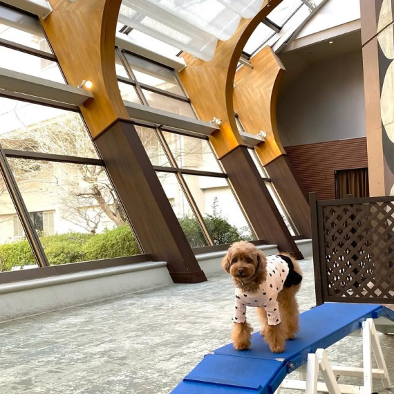 ララちゃんの画像