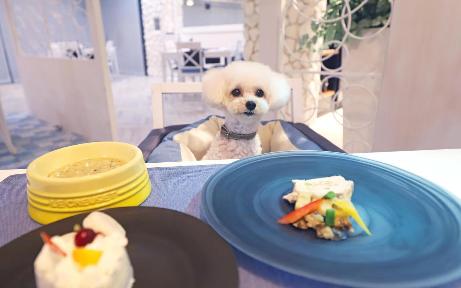 Wan's Resort 城ヶ崎海岸