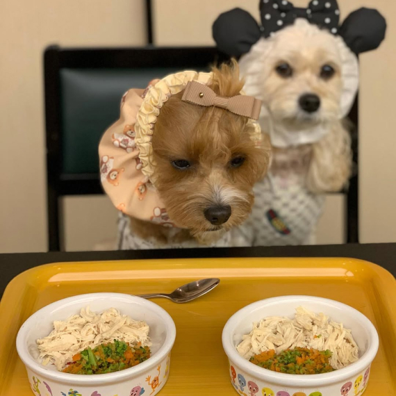 ララちゃん＆ポポちゃんの画像