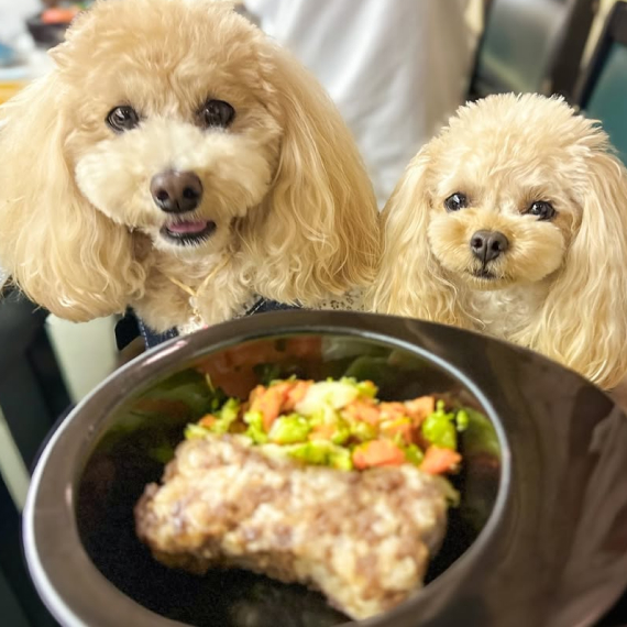 プーちゃん＆ティナちゃんの画像