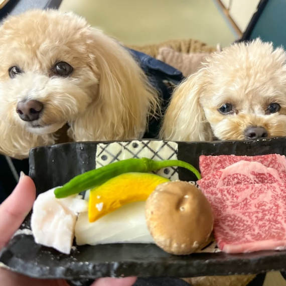 プーちゃん＆ティナちゃんの画像