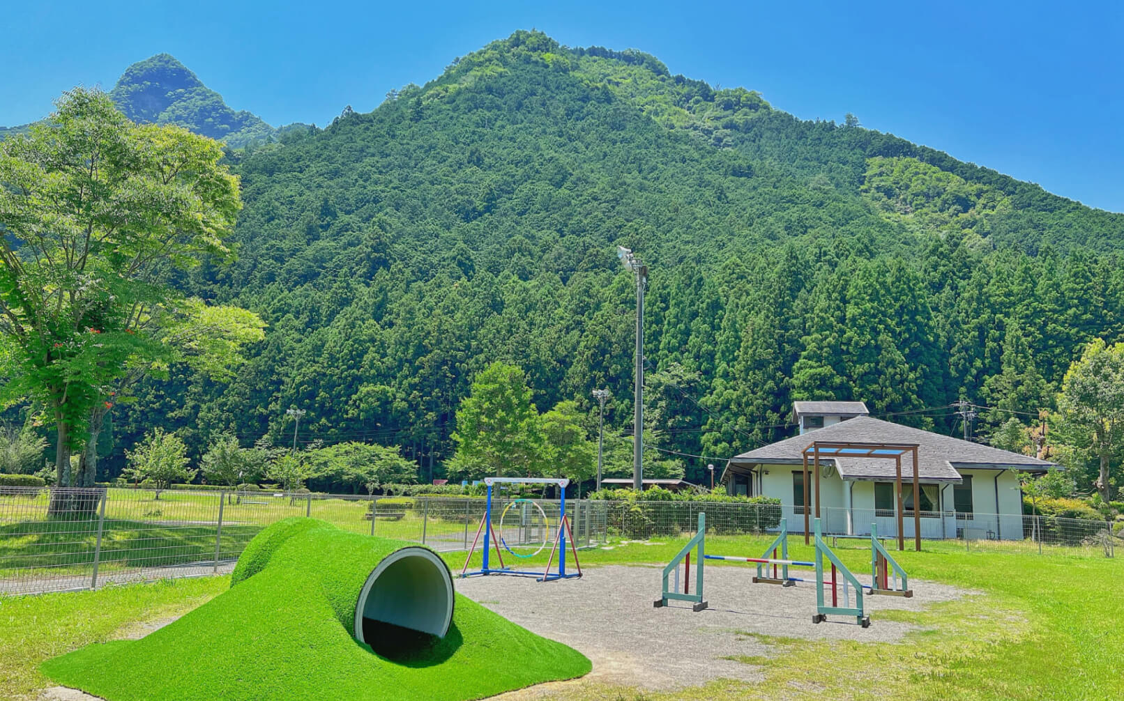 松阪わんわんパラダイス 森のホテルスメール