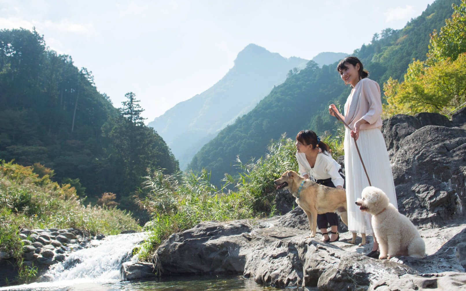 松阪わんわんパラダイス 森のホテルスメール